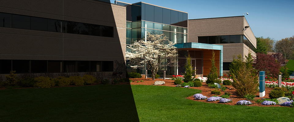 Plymouth Landscapers